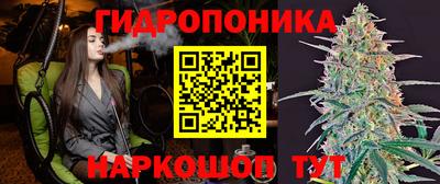 молекула духа Ипатово