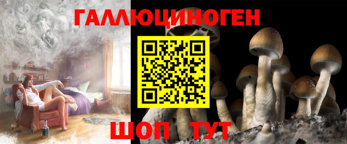 Псилоцибиновые грибы прущие грибы  Псилоцибиновые грибы мухоморы  Вход с VPN  Балашов 